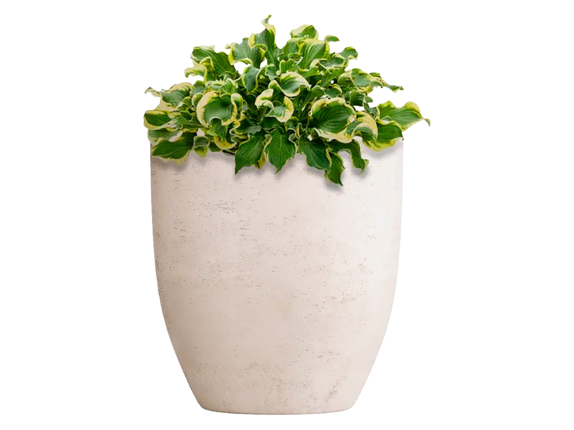 CONCRETIKA VASE 3 Кашпо D400xH450 CONCRETE WHITE
