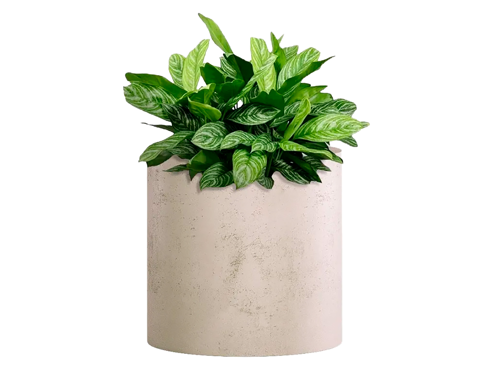 CONCRETIKA CYLINDER Кашпо D300xH300 CONCRETE WHITE