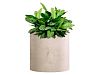 CONCRETIKA CYLINDER Кашпо D300xH300 CONCRETE WHITE - Paraterras
