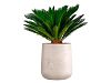 CONCRETIKA CONE Кашпо D500xH540 CONCRETE WHITE - Paraterras